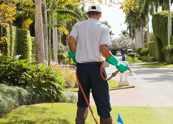 About Jemez Springs NM Pest Control